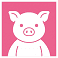 pig